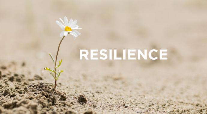 Resilience